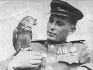 ������ �������� �������������   ����� ���������� �����   ��������� ���������� �������������� �������