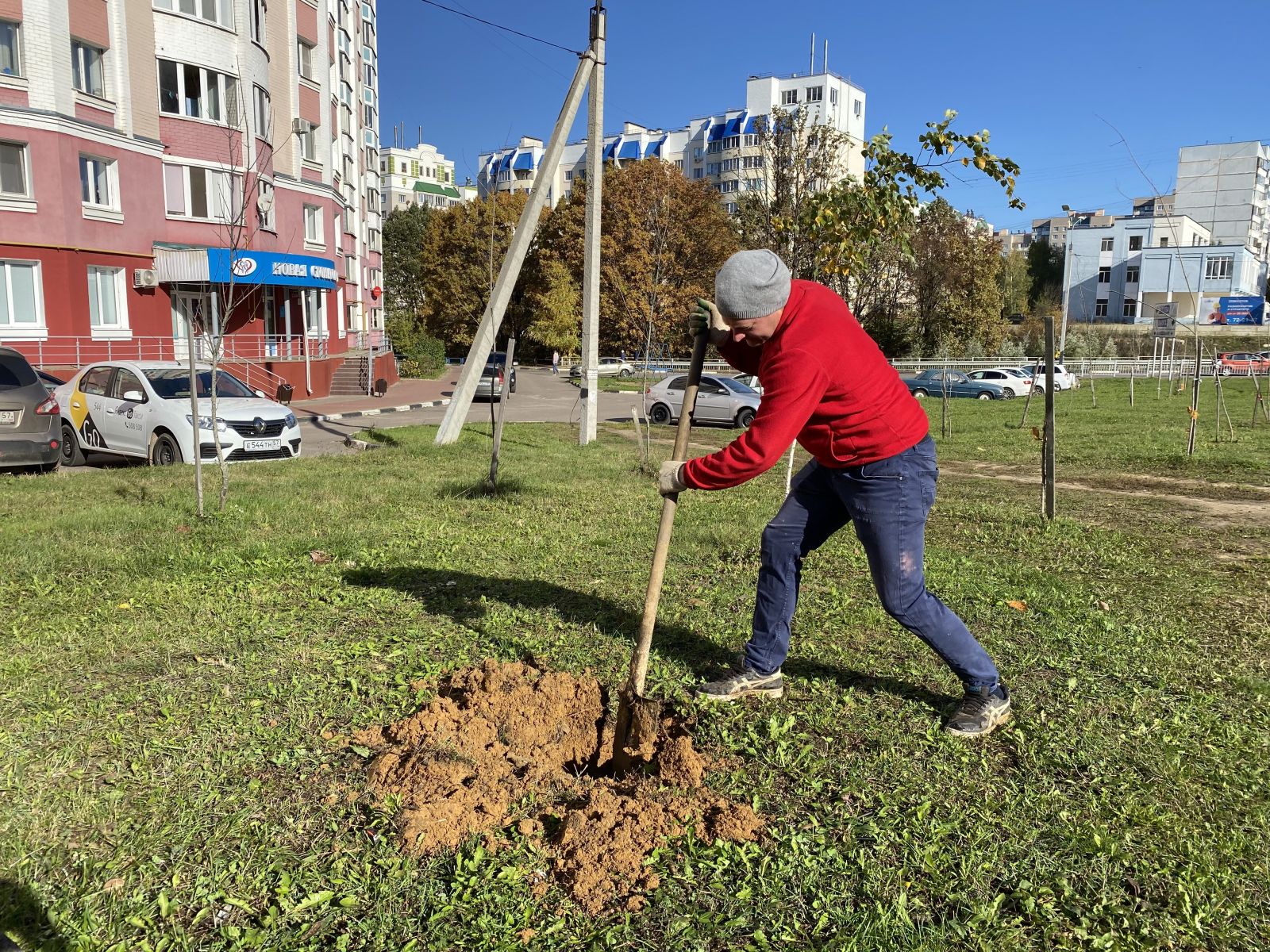 Аллее в честь учителей быть! | СПРАВЕДЛИВАЯ РОССИЯ – ЗА ПРАВДУ – Орловская  область