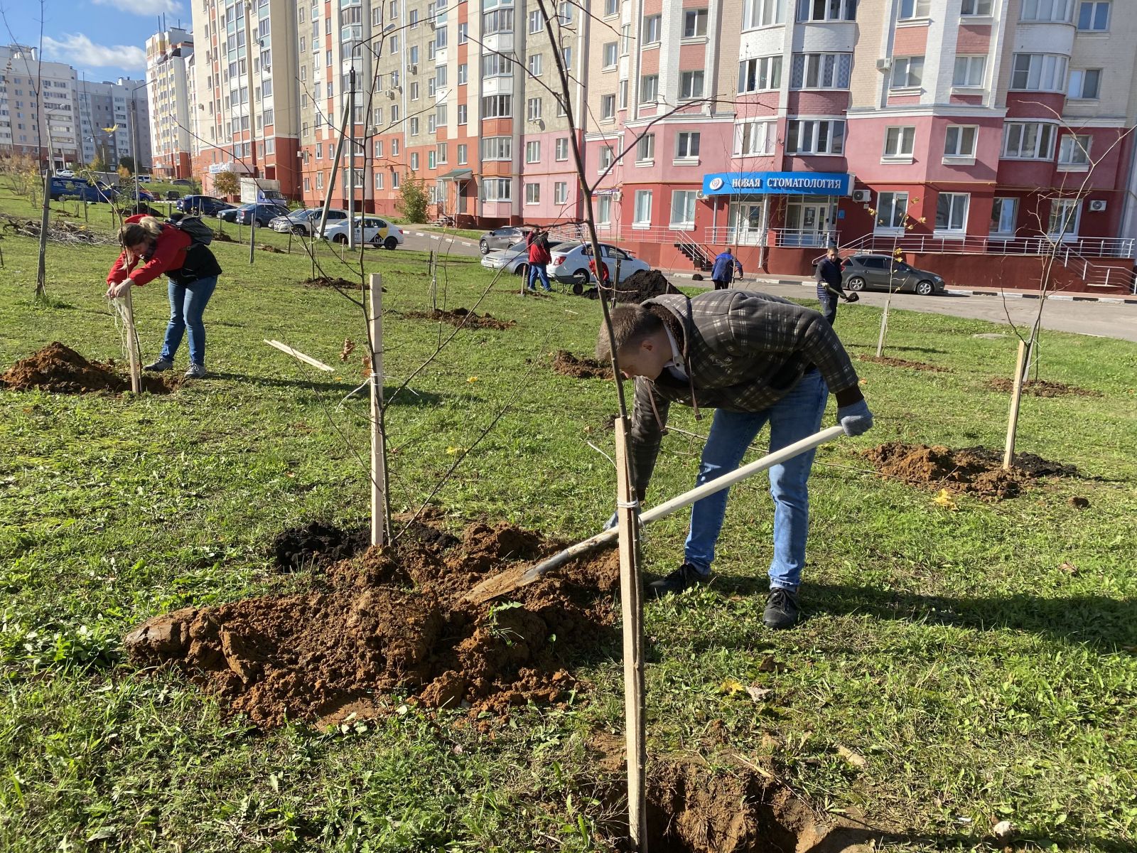 Аллее в честь учителей быть! | СПРАВЕДЛИВАЯ РОССИЯ – ЗА ПРАВДУ – Орловская  область